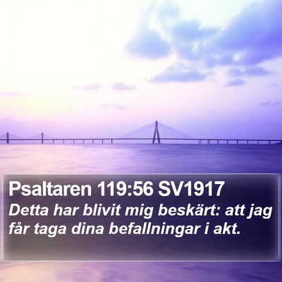 Psaltaren 119:56 SV1917 Bible Verse Image