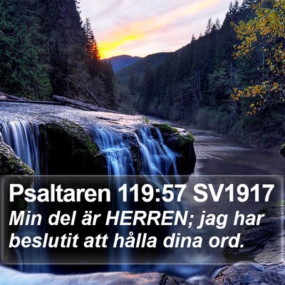 Psaltaren 119:57 SV1917 Bible Verse Image