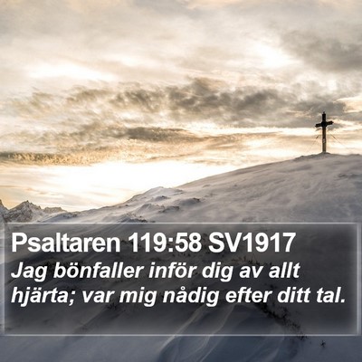 Psaltaren 119:58 SV1917 Bible Verse Image