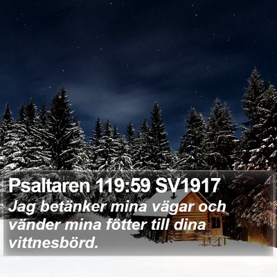 Psaltaren 119:59 SV1917 Bible Verse Image
