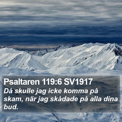 Psaltaren 119:6 SV1917 Bible Verse Image