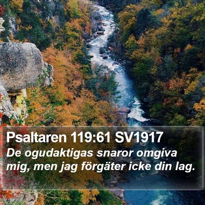 Psaltaren 119:61 SV1917 Bible Verse Image