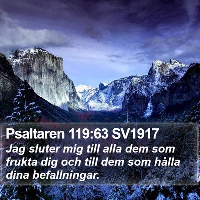 Psaltaren 119:63 SV1917 Bible Verse Image