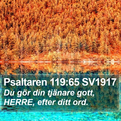 Psaltaren 119:65 SV1917 Bible Verse Image