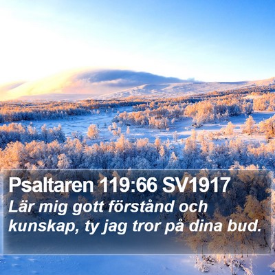 Psaltaren 119:66 SV1917 Bible Verse Image