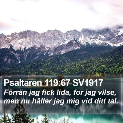 Psaltaren 119:67 SV1917 Bible Verse Image
