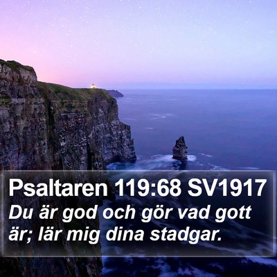 Psaltaren 119:68 SV1917 Bible Verse Image