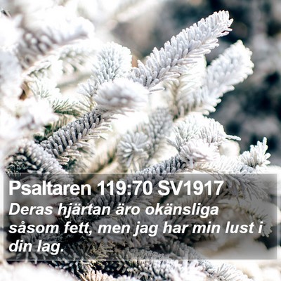 Psaltaren 119:70 SV1917 Bible Verse Image