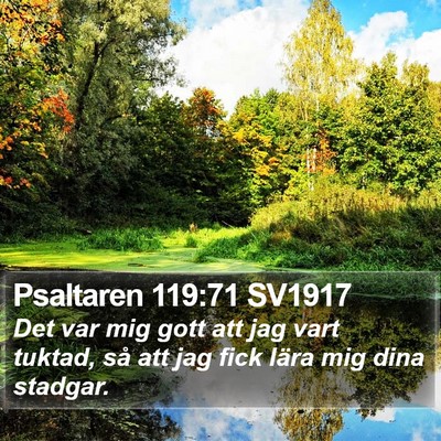 Psaltaren 119:71 SV1917 Bible Verse Image