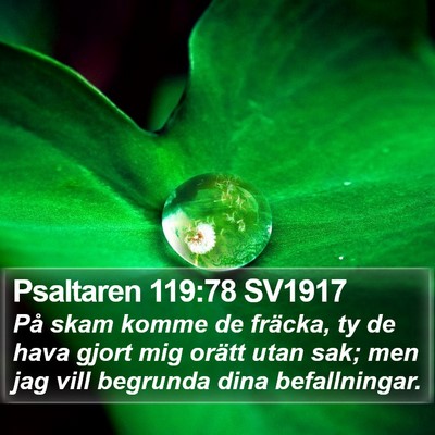 Psaltaren 119:78 SV1917 Bible Verse Image
