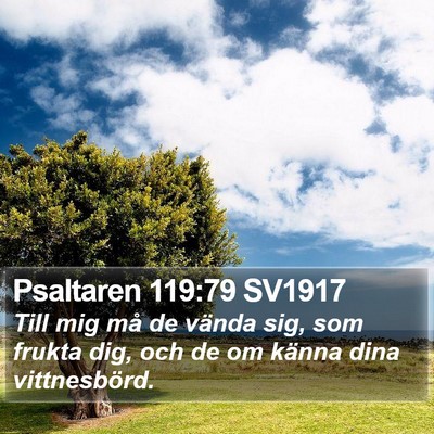 Psaltaren 119:79 SV1917 Bible Verse Image