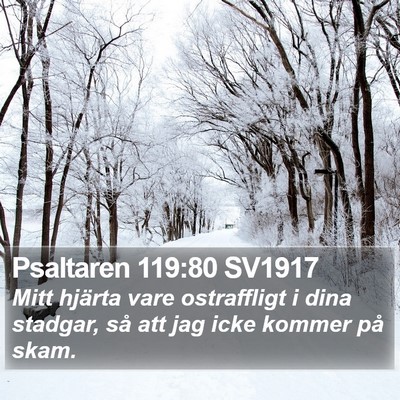 Psaltaren 119:80 SV1917 Bible Verse Image