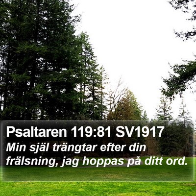 Psaltaren 119:81 SV1917 Bible Verse Image