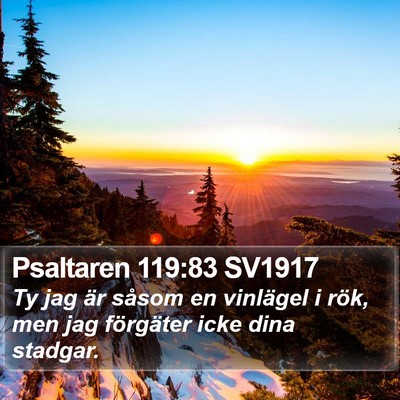 Psaltaren 119:83 SV1917 Bible Verse Image