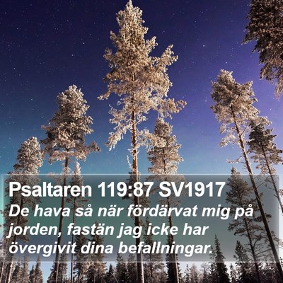 Psaltaren 119:87 SV1917 Bible Verse Image
