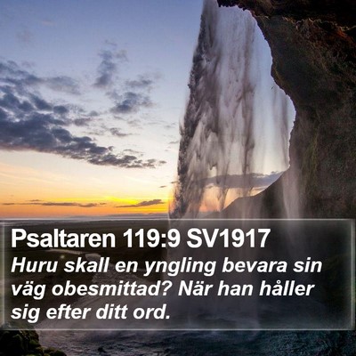 Psaltaren 119:9 SV1917 Bible Verse Image