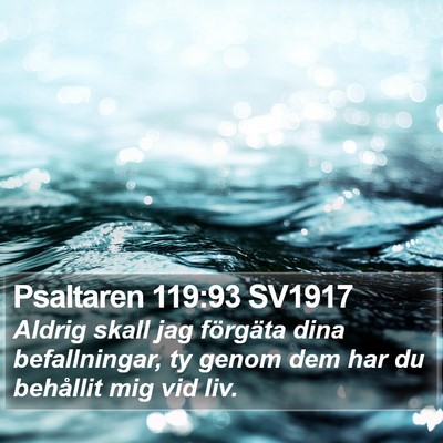 Psaltaren 119:93 SV1917 Bible Verse Image