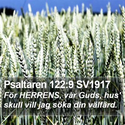Psaltaren 122:9 SV1917 Bible Verse Image