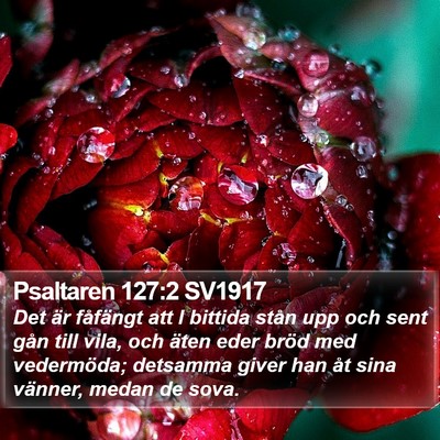 Psaltaren 127:2 SV1917 Bible Verse Image