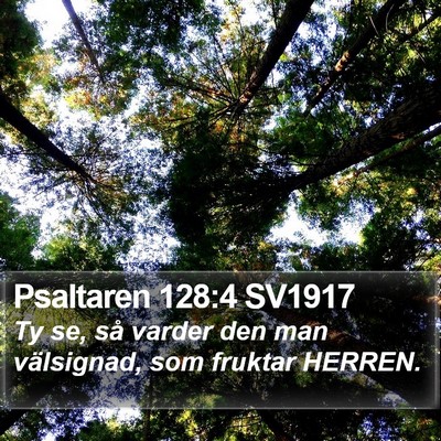 Psaltaren 128:4 SV1917 Bible Verse Image