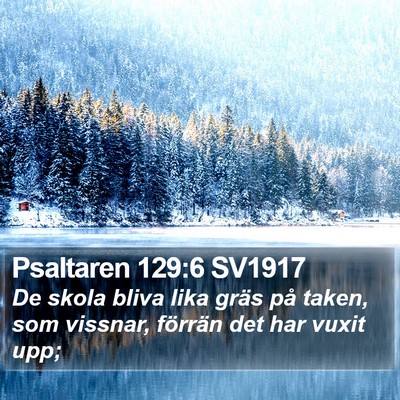 Psaltaren 129:6 SV1917 Bible Verse Image