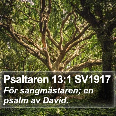 Psaltaren 13:1 SV1917 Bible Verse Image