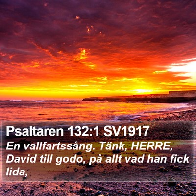 Psaltaren 132:1 SV1917 Bible Verse Image