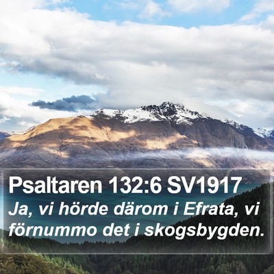 Psaltaren 132:6 SV1917 Bible Verse Image