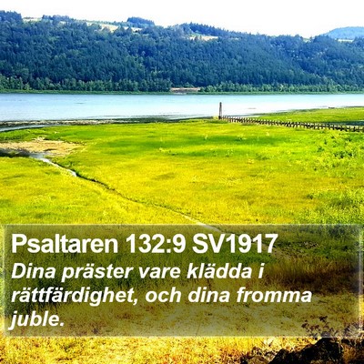 Psaltaren 132:9 SV1917 Bible Verse Image