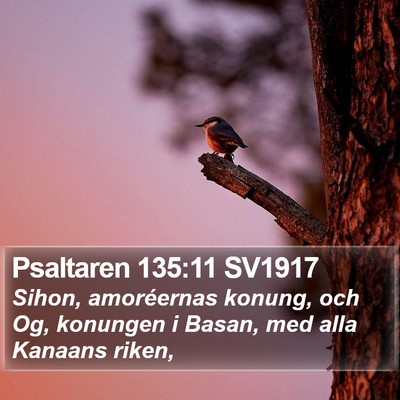 Psaltaren 135:11 SV1917 Bible Verse Image