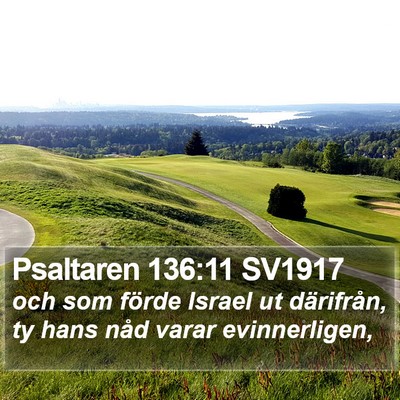Psaltaren 136:11 SV1917 Bible Verse Image