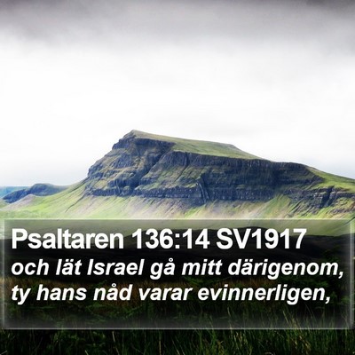Psaltaren 136:14 SV1917 Bible Verse Image