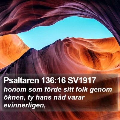 Psaltaren 136:16 SV1917 Bible Verse Image