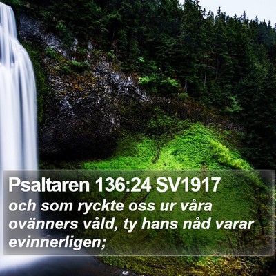 Psaltaren 136:24 SV1917 Bible Verse Image
