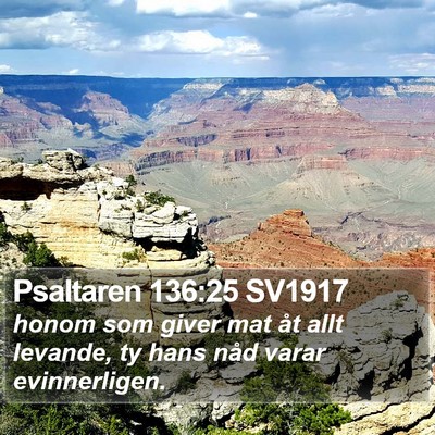 Psaltaren 136:25 SV1917 Bible Verse Image