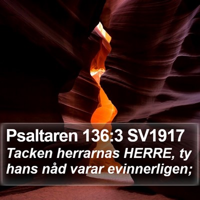 Psaltaren 136:3 SV1917 Bible Verse Image