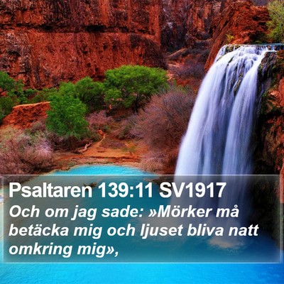 Psaltaren 139:11 SV1917 Bible Verse Image