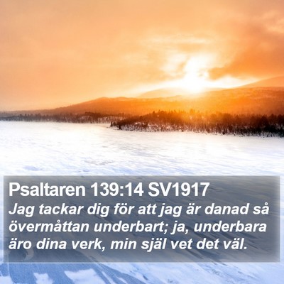 Psaltaren 139:14 SV1917 Bible Verse Image