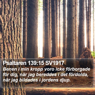 Psaltaren 139:15 SV1917 Bible Verse Image