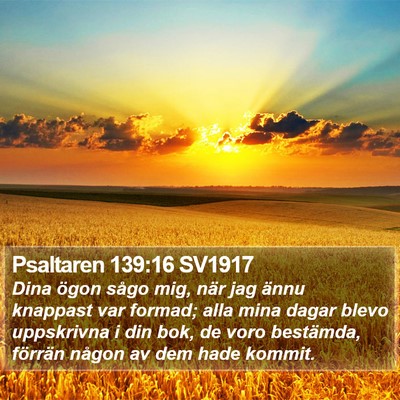 Psaltaren 139:16 SV1917 Bible Verse Image