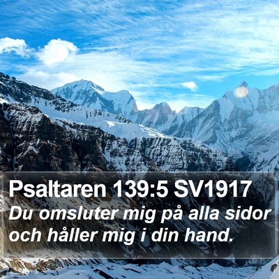 Psaltaren 139:5 SV1917 Bible Verse Image