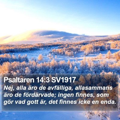 Psaltaren 14:3 SV1917 Bible Verse Image