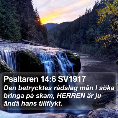 Psaltaren 14:6 SV1917 Bible Verse Image