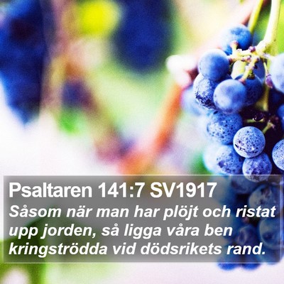 Psaltaren 141:7 SV1917 Bible Verse Image