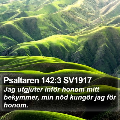 Psaltaren 142:3 SV1917 Bible Verse Image