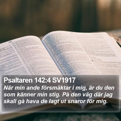 Psaltaren 142:4 SV1917 Bible Verse Image