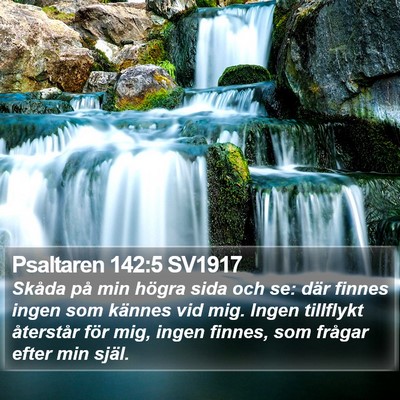 Psaltaren 142:5 SV1917 Bible Verse Image