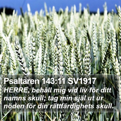 Psaltaren 143:11 SV1917 Bible Verse Image