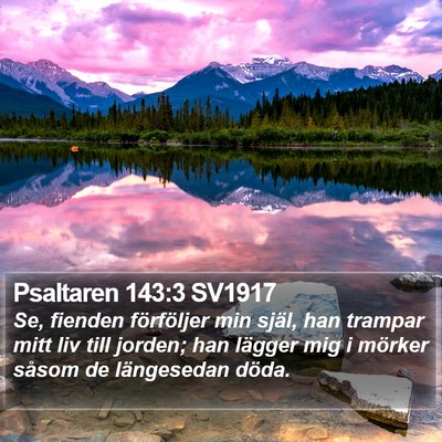 Psaltaren 143:3 SV1917 Bible Verse Image