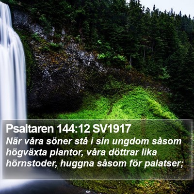 Psaltaren 144:12 SV1917 Bible Verse Image